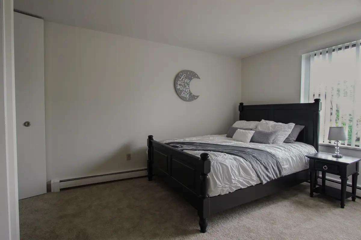 undefined apartments for rent - image - IMG_5884.webp - 2
