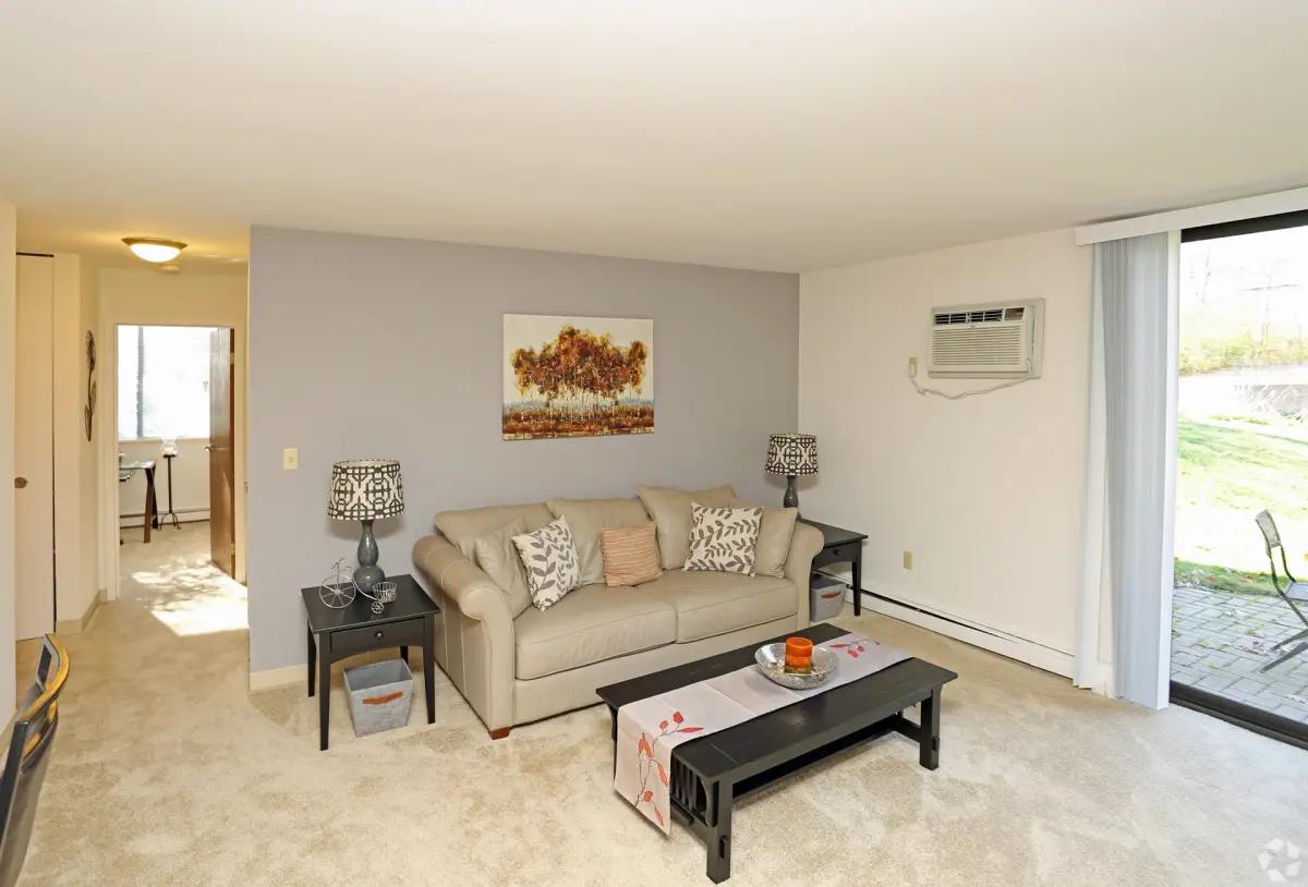 undefined apartments for rent - image - living-room1.webp - 0