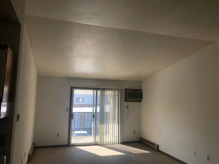 undefined apartments for rent - image - 11.jpg